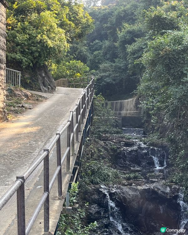 九龍水塘行山