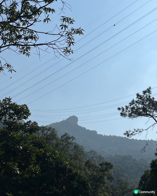 九龍水塘行山