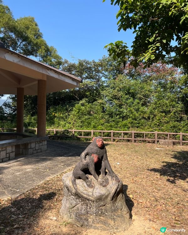 九龍水塘行山