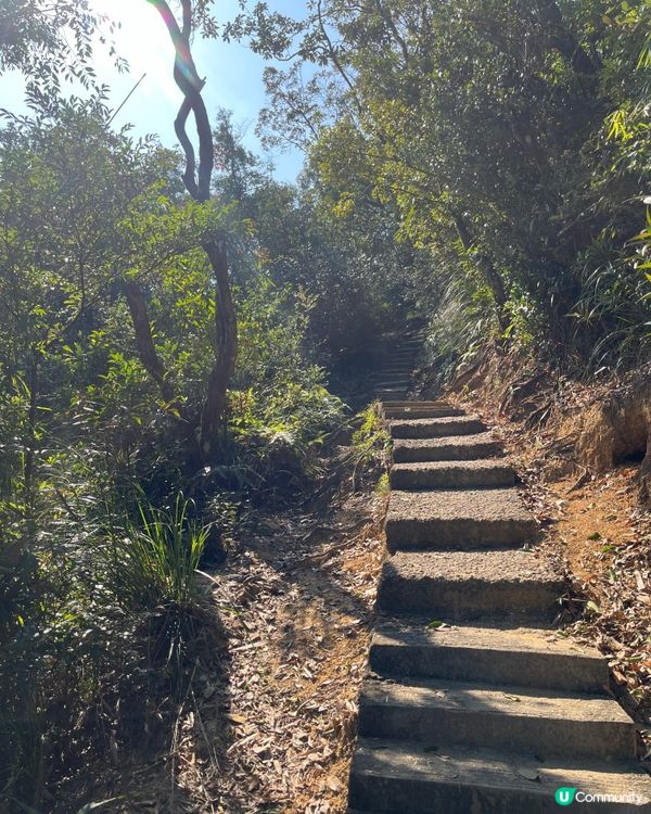 九龍水塘行山