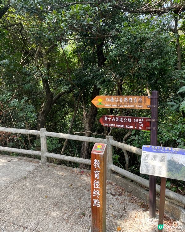 九龍水塘行山
