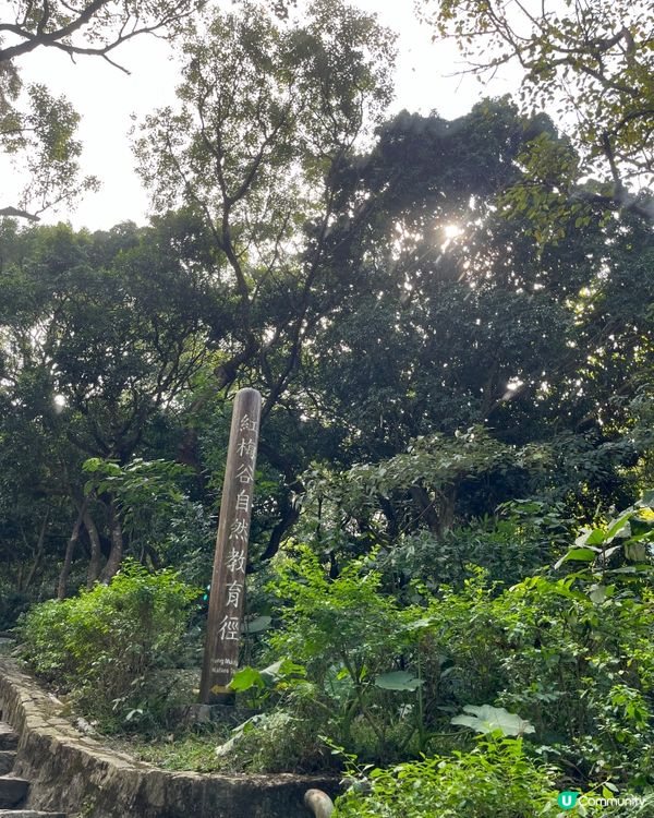 九龍水塘行山