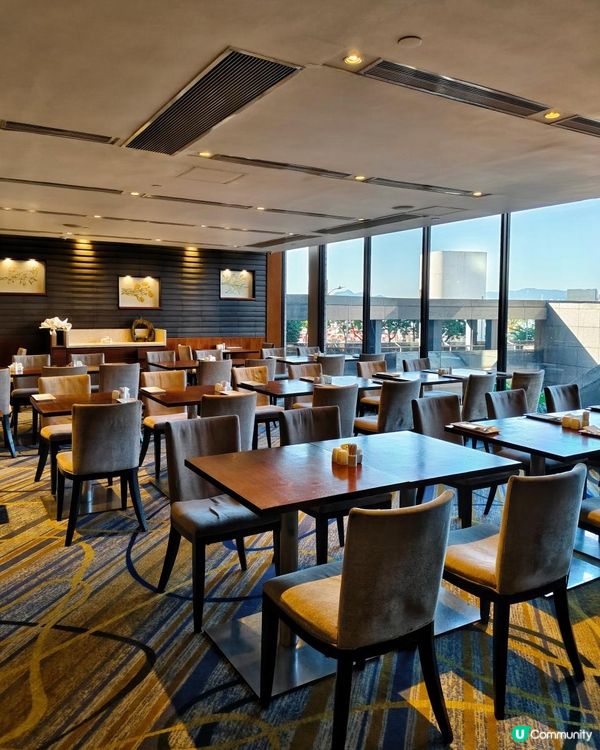 《熊貓主題下午茶》