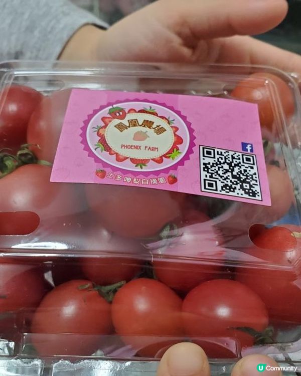 【2025本地漁農美食嘉年華🎪】