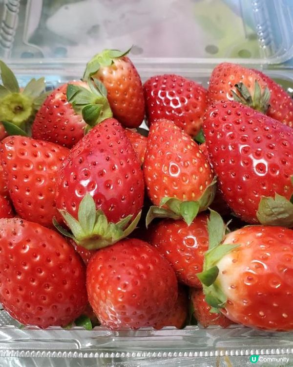 【2025本地漁農美食嘉年華🎪】