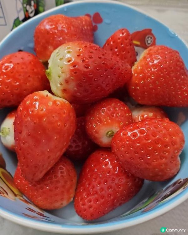 【2025本地漁農美食嘉年華🎪】