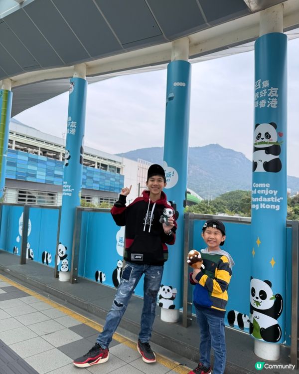 大熊貓暢遊MTR