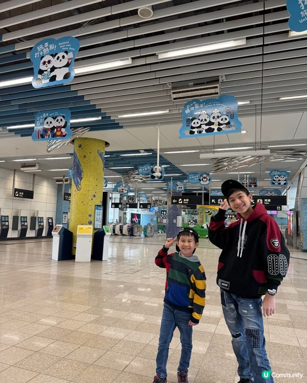 大熊貓暢遊MTR