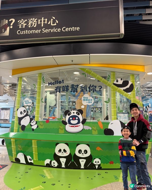 大熊貓暢遊MTR