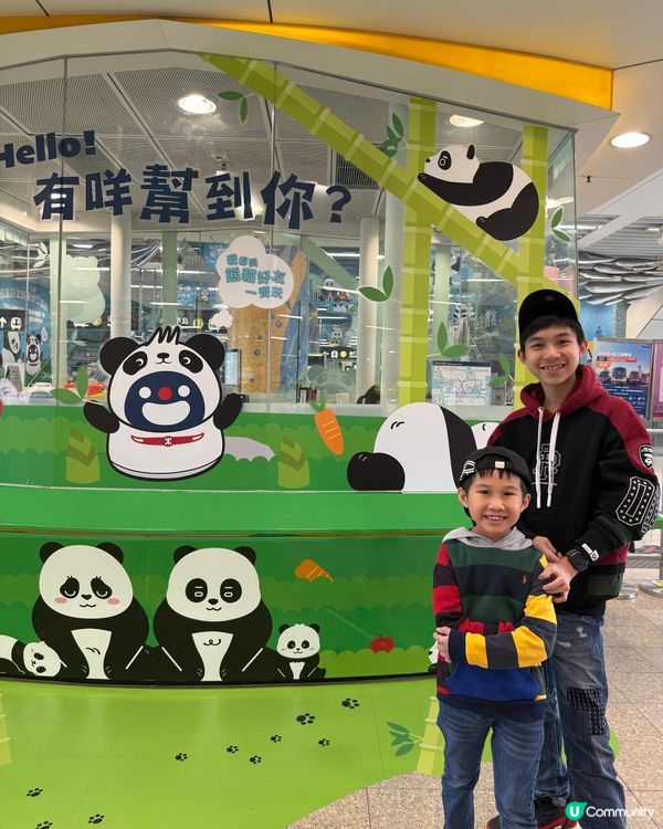 大熊貓暢遊MTR