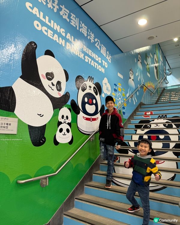 大熊貓暢遊MTR