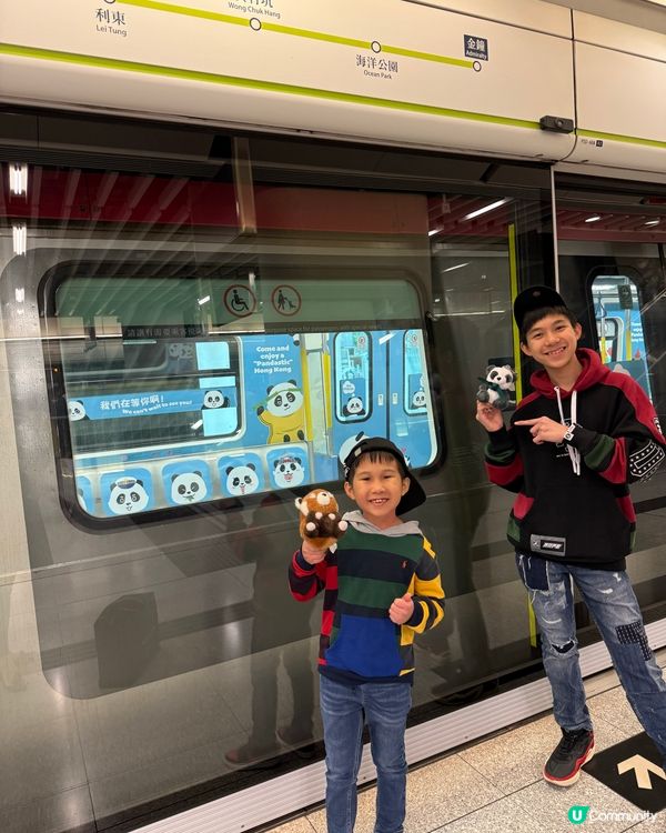 大熊貓暢遊MTR