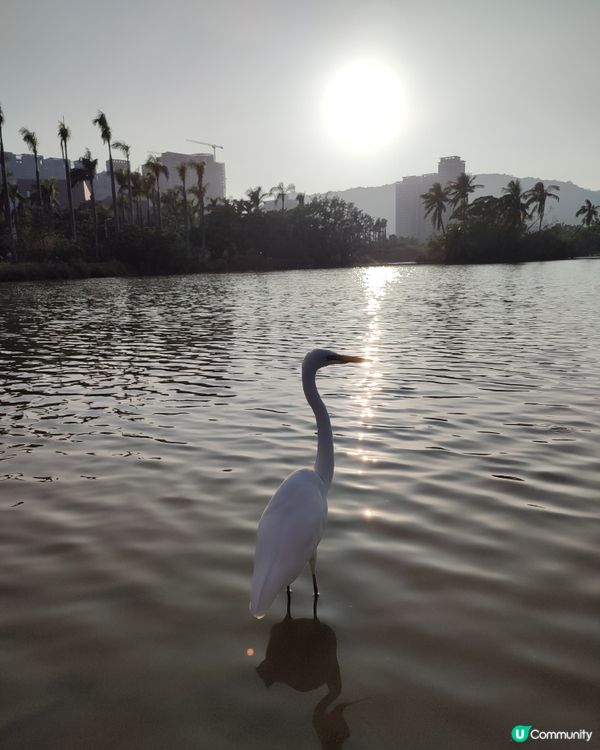 藝術、創意市集和休閒公園