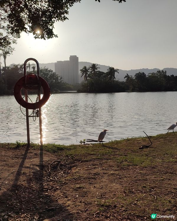 藝術、創意市集和休閒公園