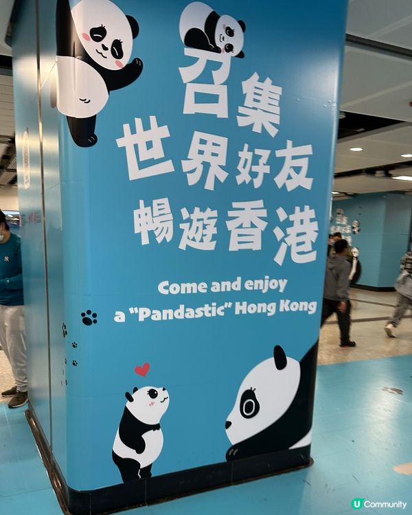 尋找panda在地鐵