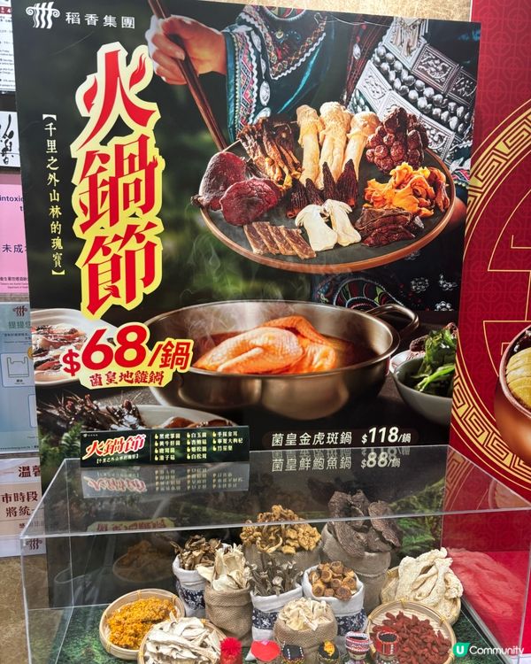 菌皇地雞鍋火鍋🍄‍🟫🤩🤩