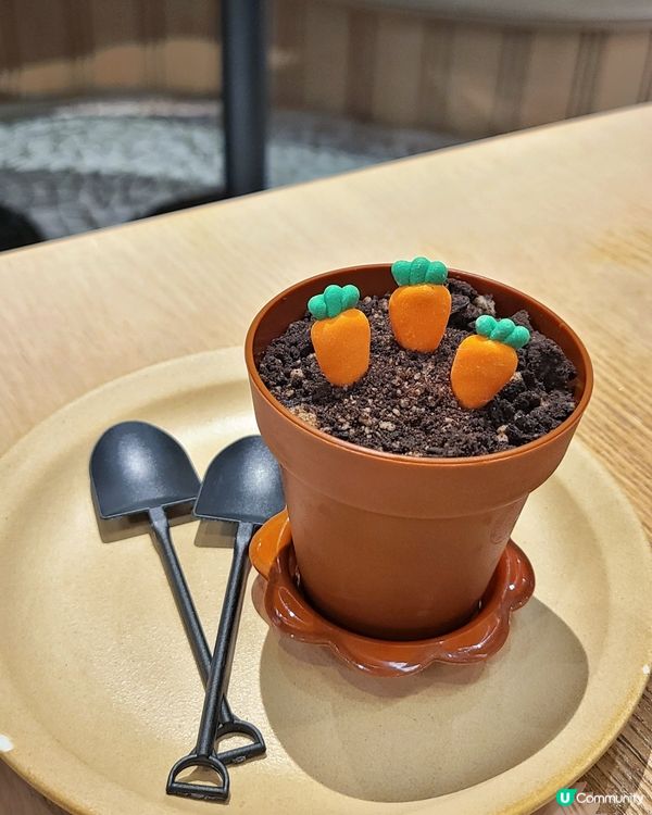 屯門市廣場韓式新派午餐😋 7折優惠勁抵食！