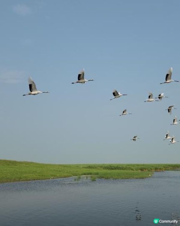 【中國旅遊】齊齊哈爾必做３件事！肉比菜便宜你認真？人均30元東北天天烤肉吃到爽｜Food ＆ Attraction in Qiqihar, Heilongjiang, China｜momojoejoe