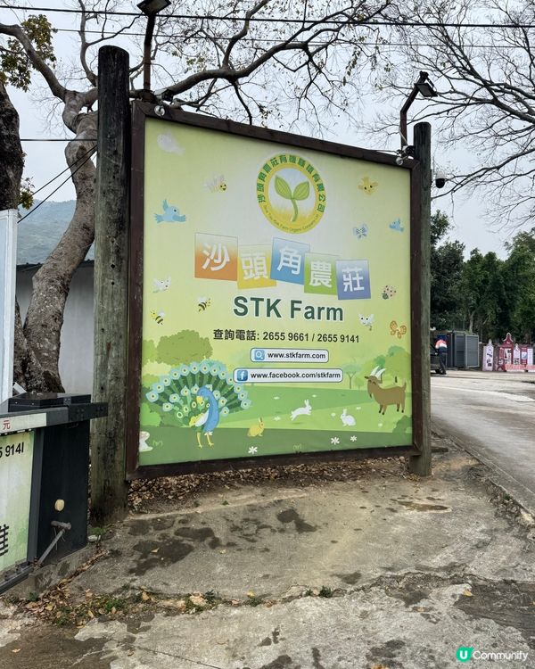 日出沙頭，月懸海角