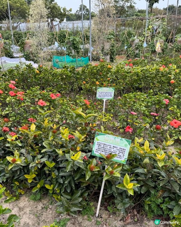 日出沙頭，月懸海角