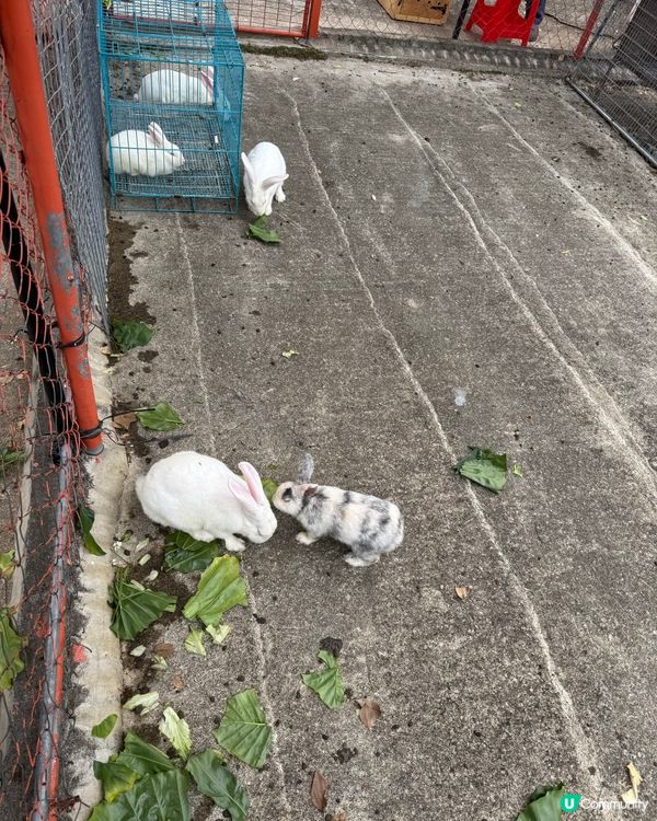 日出沙頭，月懸海角