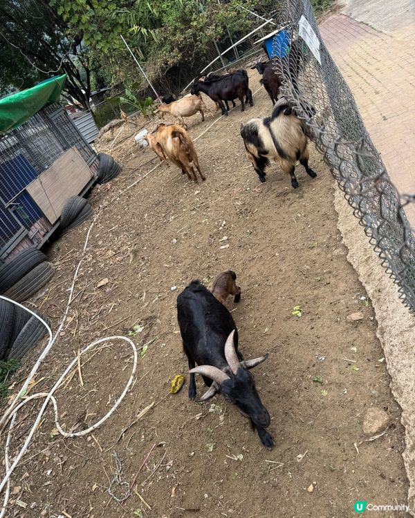 日出沙頭，月懸海角