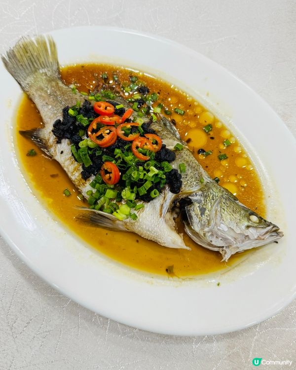 灣仔·超班私房菜💯