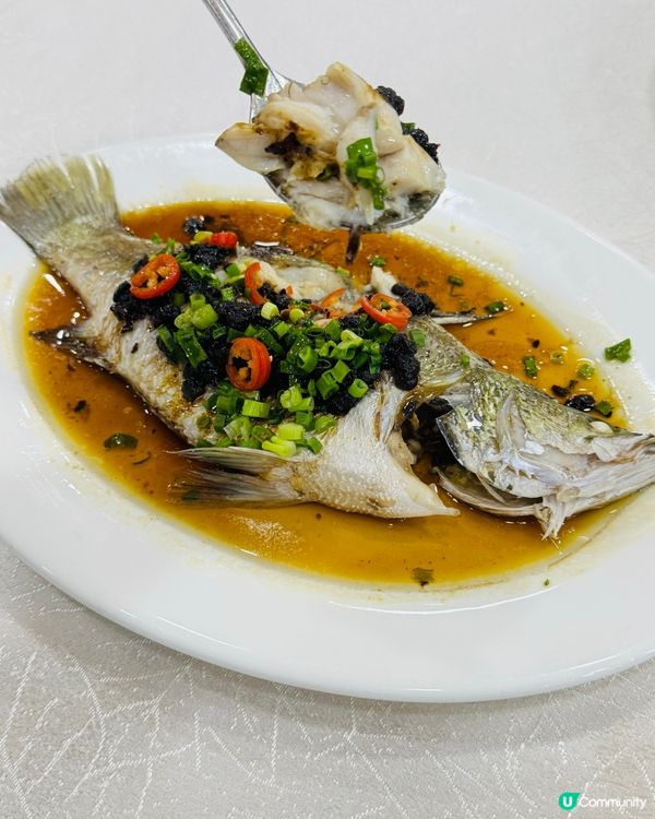 灣仔·超班私房菜💯