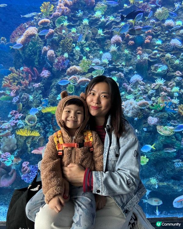 一天遊$268 遊覽深圳最新水族館+outlet+海鮮晚餐！