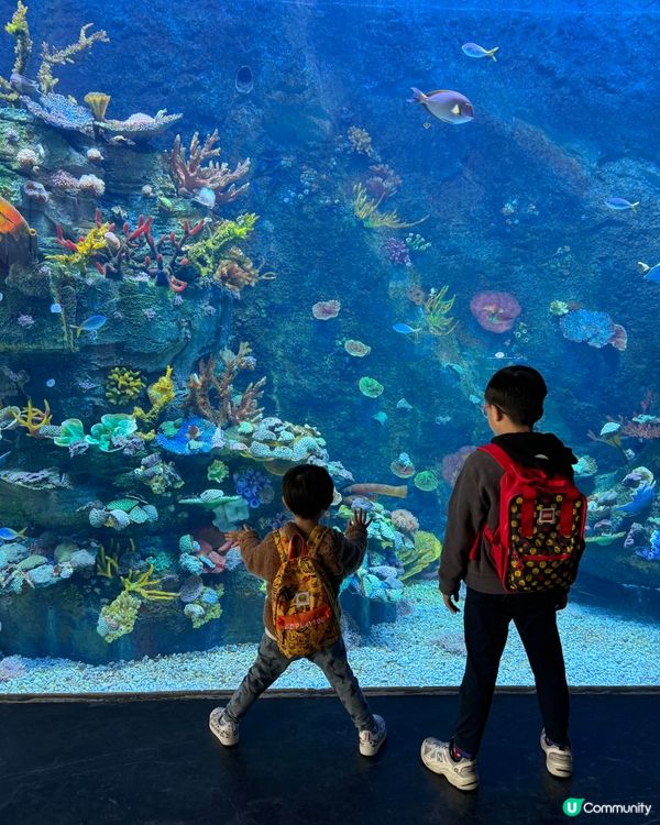 一天遊$268 遊覽深圳最新水族館+outlet+海鮮晚餐！