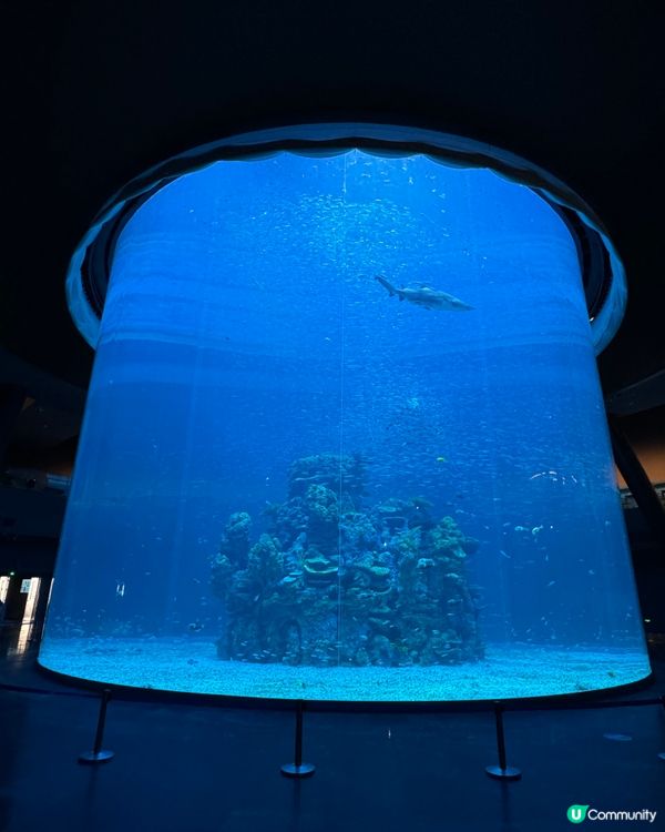 一天遊$268 遊覽深圳最新水族館+outlet+海鮮晚餐！