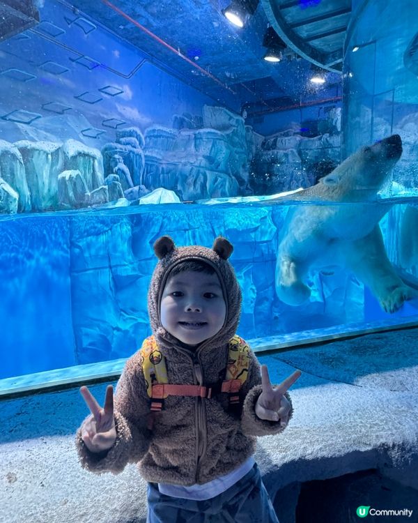 一天遊$268 遊覽深圳最新水族館+outlet+海鮮晚餐！