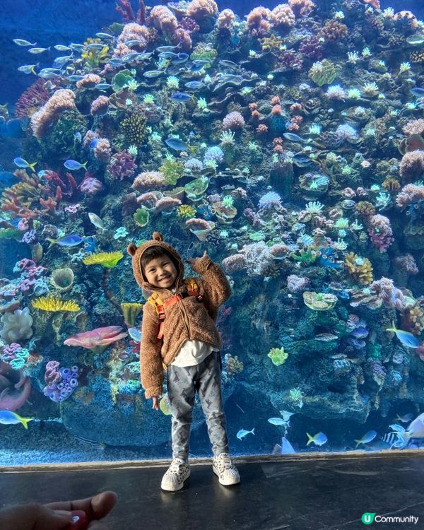 一天遊$268 遊覽深圳最新水族館+outlet+海鮮晚餐！