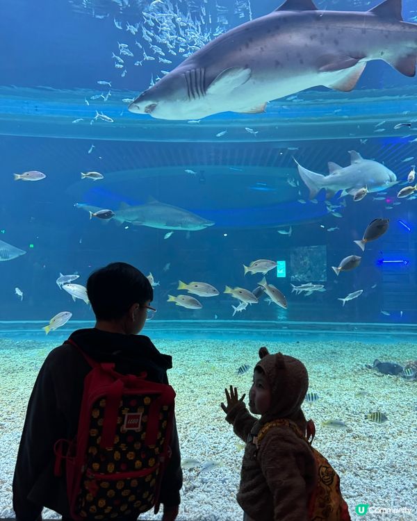一天遊$268 遊覽深圳最新水族館+outlet+海鮮晚餐！