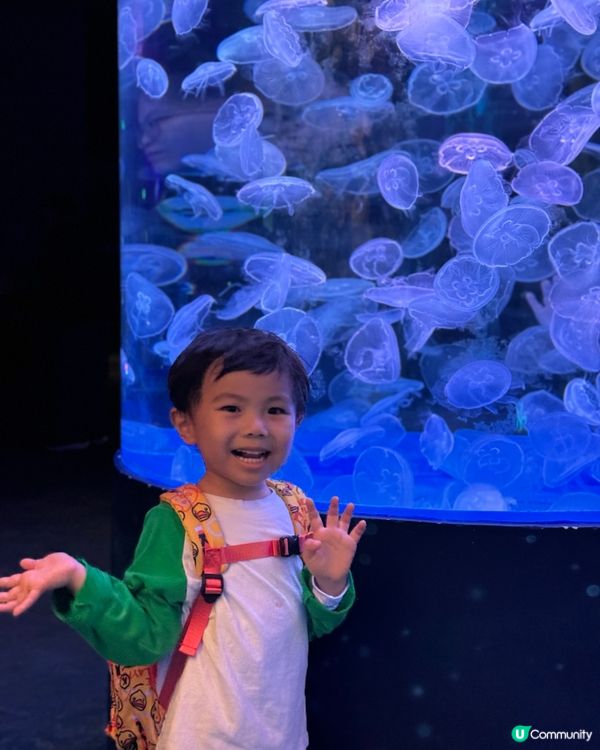 一天遊$268 遊覽深圳最新水族館+outlet+海鮮晚餐！