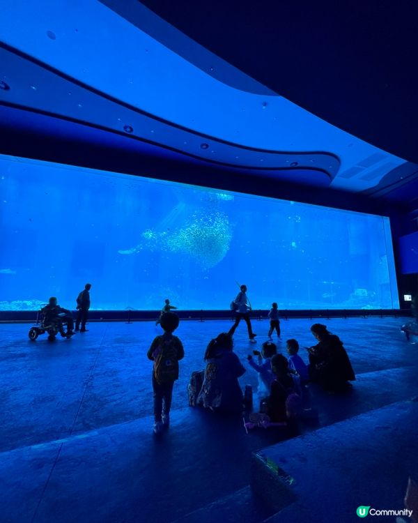 一天遊$268 遊覽深圳最新水族館+outlet+海鮮晚餐！