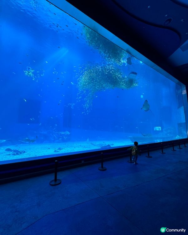 一天遊$268 遊覽深圳最新水族館+outlet+海鮮晚餐！