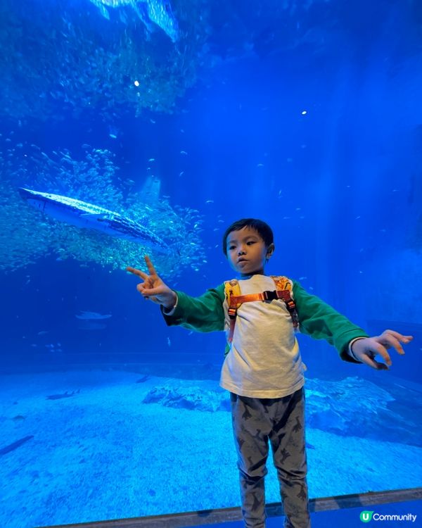 一天遊$268 遊覽深圳最新水族館+outlet+海鮮晚餐！