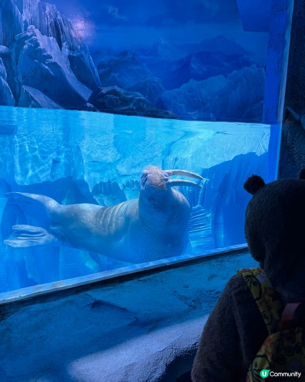 一天遊$268 遊覽深圳最新水族館+outlet+海鮮晚餐！