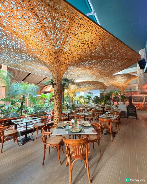 深圳紅山6979🎤🎶  打卡必去！