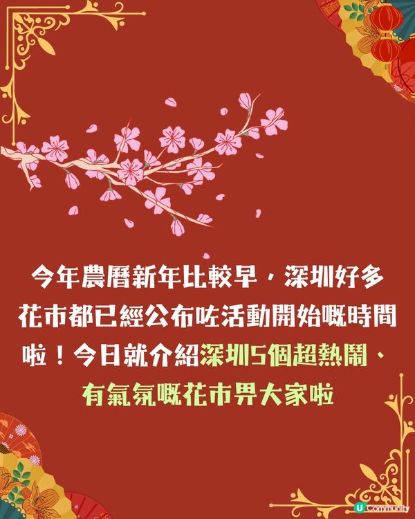深圳花市5大推介！💐300+攤位/多個打卡位/文創/互動遊戲😍附地址+活動時間‼️