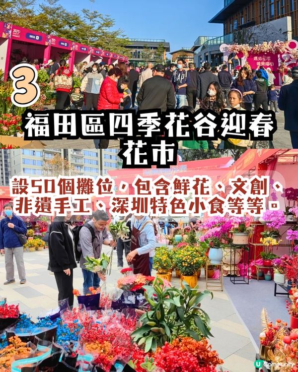 深圳花市5大推介！💐300+攤位/多個打卡位/文創/互動遊戲😍附地址+活動時間‼️