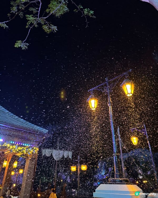 冬天去香港迪士尼❄️真係超有氣氛🥳☃️