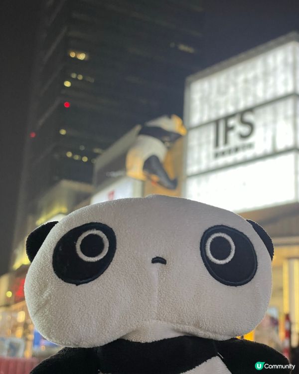 成都睇熊貓🐼 月亮星星產房，熊貓湯圓