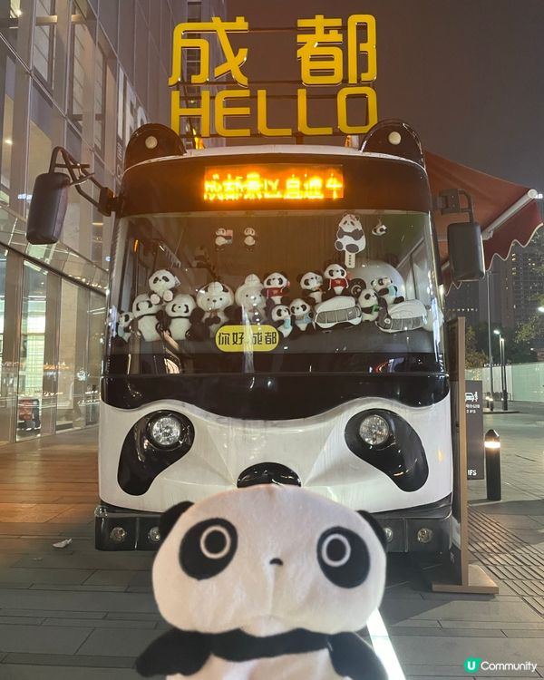 成都睇熊貓🐼 月亮星星產房，熊貓湯圓