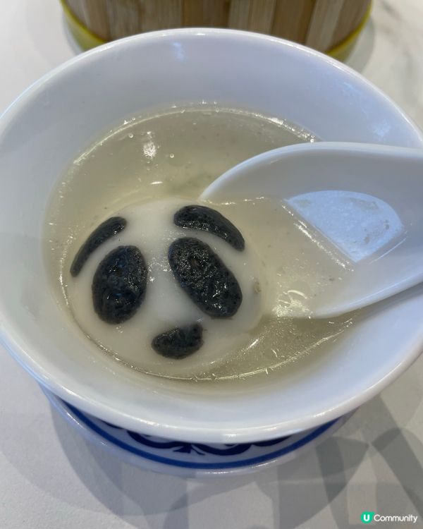 成都睇熊貓🐼 月亮星星產房，熊貓湯圓