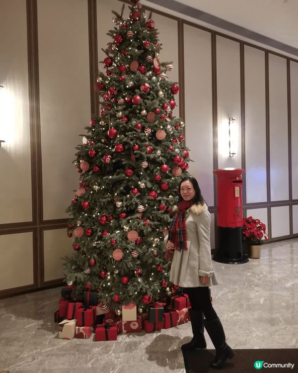 海洋公園富麗敦酒店食自助餐慶祝聖誕節，有好高的聖誕樹，去搭地...