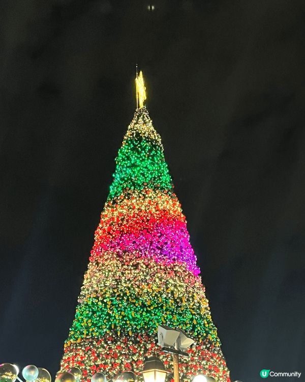 我認為西九、尖東海旁和利東街的聖誕燈飾是聖誕打卡熱點，因為壯...