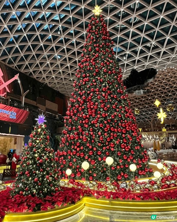 第一次係澳門過聖誕節🎄，好開心周圍都有聖誕樹🎄每間五星酒店入...