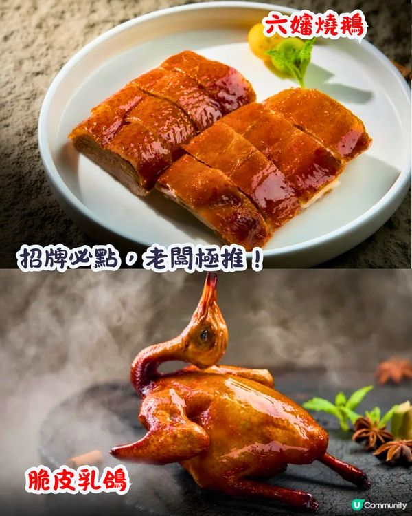 深圳新開飲茶好去處🍵人均¥74‼️手工點心即叫即整/巨型油炸鬼😋明星都幫襯